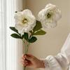 2 Cabezas Flores Artificiales de Peonías Ramas de Peonía Falsas de Seda con Tallo para Ramo de Novia DIY Centros de Mesa de Boda Arreglos Florales