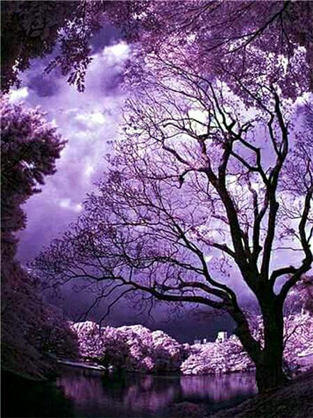 Diamond Painting Lavender Scenery Home Decor Mosaic Embroidery Sunset Landscape Rhinestone Pictures Diamond Art