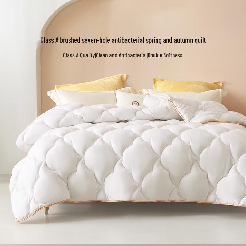 

Bailisi Sheria Seven-Hole Antibacterial Winter Quilt