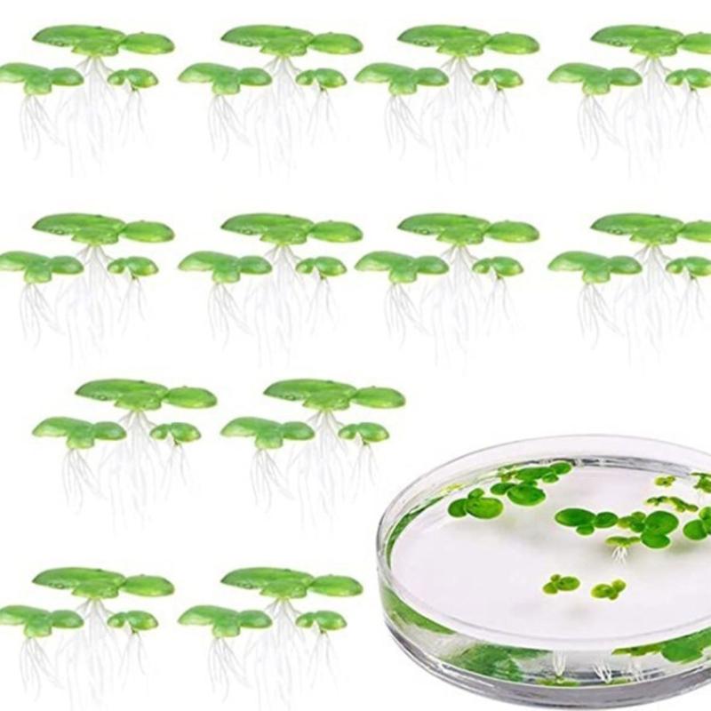 54PCS Artificial Aquarium Floating Plant Plastic Decors Enhances Tanks Aesthetic Habitat Environment