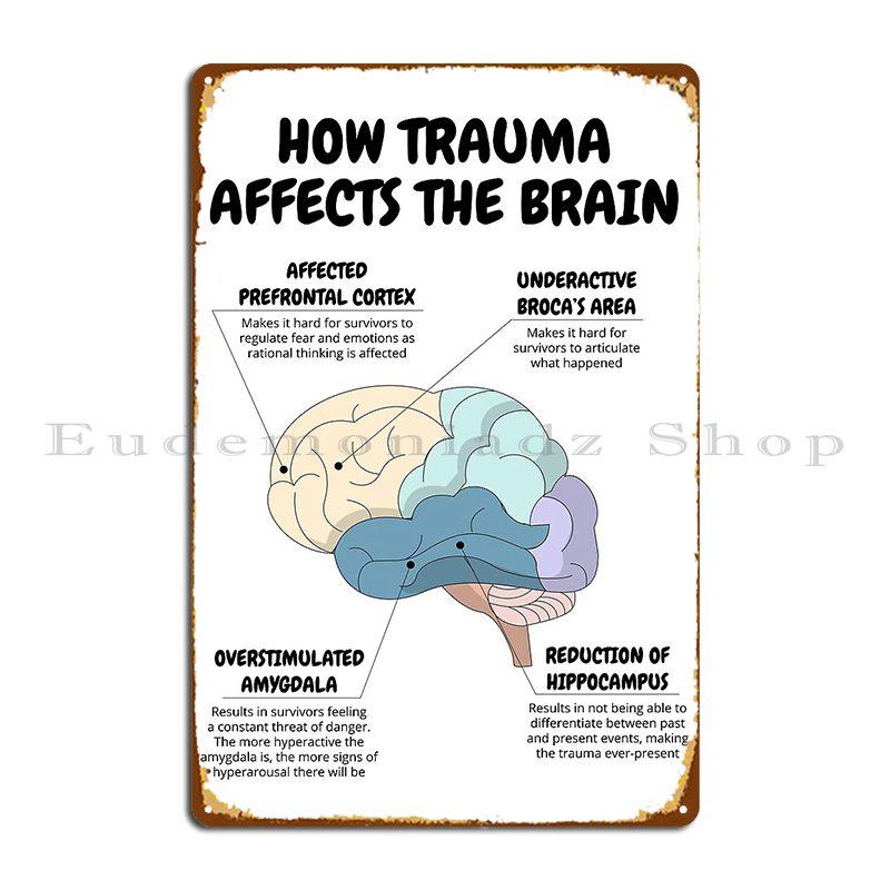 

How Trauma Affects The Brain Therapist Office Decor Ptsd Recovery Cbt Dbt Therapy Metal Sign Cinema Funny Iron Tin Sign Poster 20x30cm