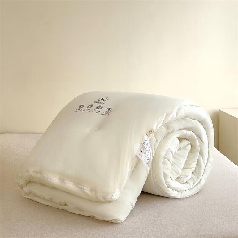 DZQ Thickened Warm 2-in-1 Winter Duvet