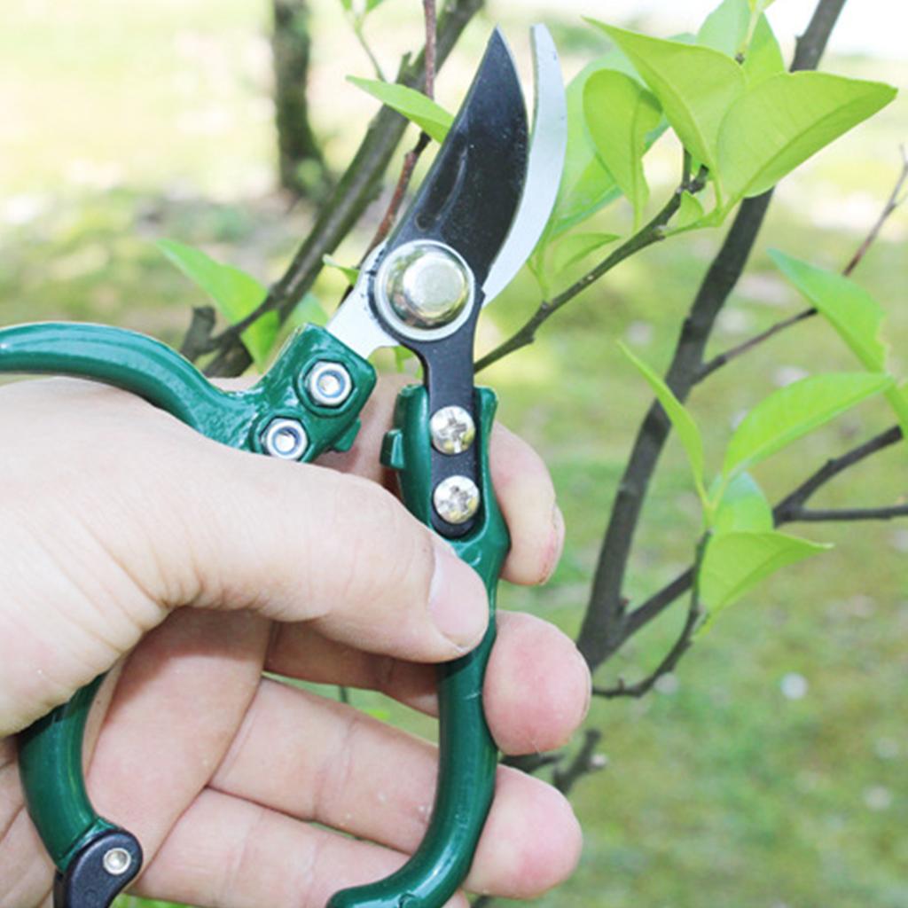 Gardening Secateurs Cutting Pruner Garden Hand Pruners Fruit Tree Pruning Shears Grape Fruit Picking Weeds Pruner Gardening Tool