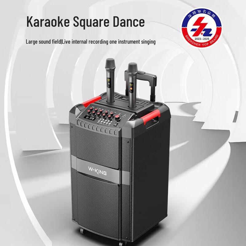 W-King K12 Portable Trolley Bluetooth Karaoke Speaker