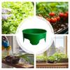 Grow Rings For Plants 6 Pieces Garden Collars Decorative Protective Ring For Outdoor Lawn Yard Greenhouse Vegetable Shrub Flower