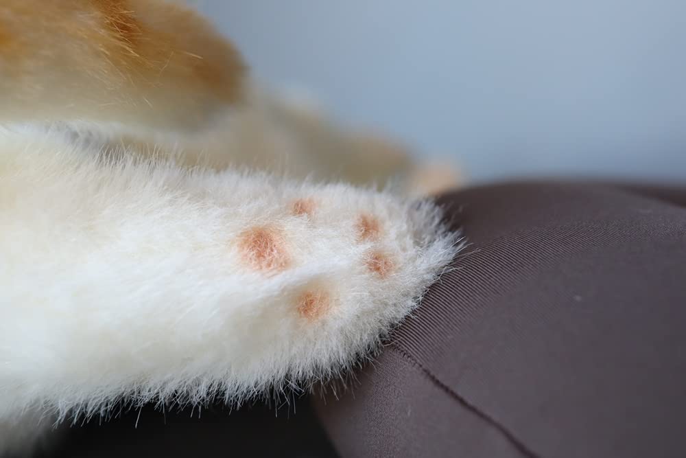 Peluche de gato realista fabricado en Japón con cinta de etiqueta infantil de 58 cm (ojos marrones tigre L) Regalo de cumpleaños de gato real presente celebración