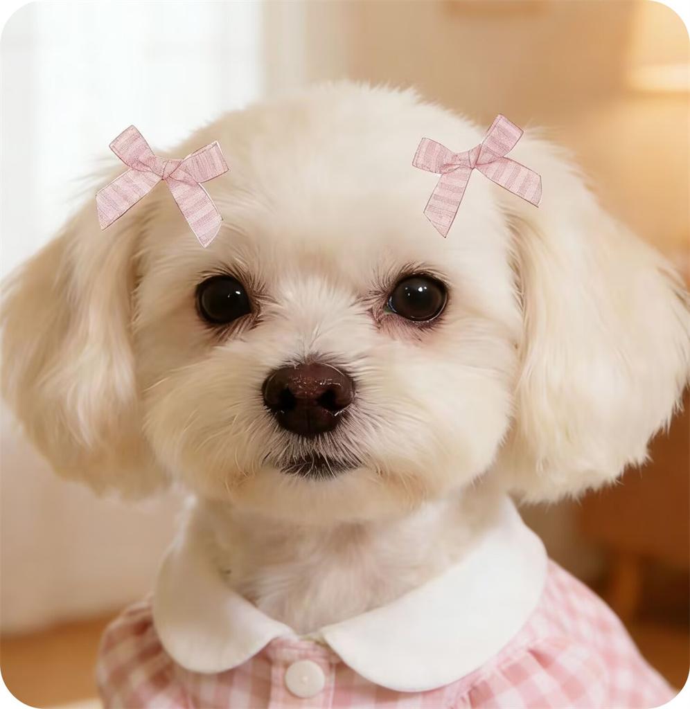 50/100pcs Handmade Small Dog Bows with Rubber Bands Fashion Puppy Grooming Accessories MixColor Pet Supplies for Dogs and Cats