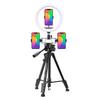 Dual Camera Live Streaming Stand with Fill Light for Multi-Phone Video Shooting and Product Promotion