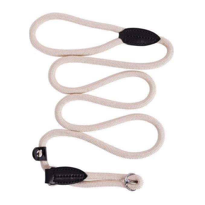 Laisse pour chien - lionto - longueur 170 cm - couleur beige - utilisation extérieure