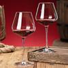 Crystal Glass Red Wine Glasses & Decanter Set
