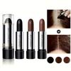 Temporärer Haarfarbstift Schnelle Abdeckung Grauer Haaransatz Lippenstift-Stil Haarfärbewerkzeug für Schläfen