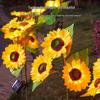 Solar Powered 3-Head Sunflower LED Garden Stake Light