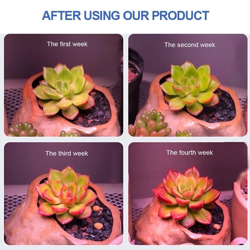 LED plant growth light T5 double branch succulent plant supplement light indoor greenhouse flowers and fruits