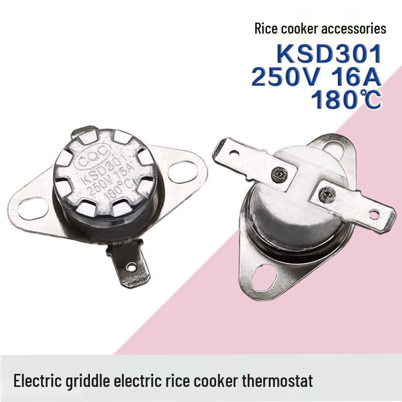 Universal Steam Garment Steamer with 180°Thermostat and Ceramic Temperature Limiter, 250V 10A