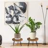 Wooden Plant Stool for Both Indoor,Outdoor Use,Featuring a Mid Century Design Suitable for Modern Plants.This Low,Short Planter Stand Combines Boho