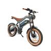 Bicicletta elettrica a pedalata assistita M20 20*4.0 pollici retrò, batteria rimovibile 48V 18.2Ah, motore ad alta velocità 1500W, autonomia massima fino a 60 km.