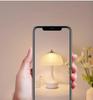 Nordic Minimalist Dimmable Glass Bedside Lamp: Modern, Warm, and Eye-Protecting