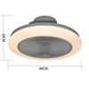 300W Modern RGB LED Ceiling Fan Lights APP Remote Control Fan 3-Wind Adjustable Speed Dimmable Ceiling Light Fan 48*20cm