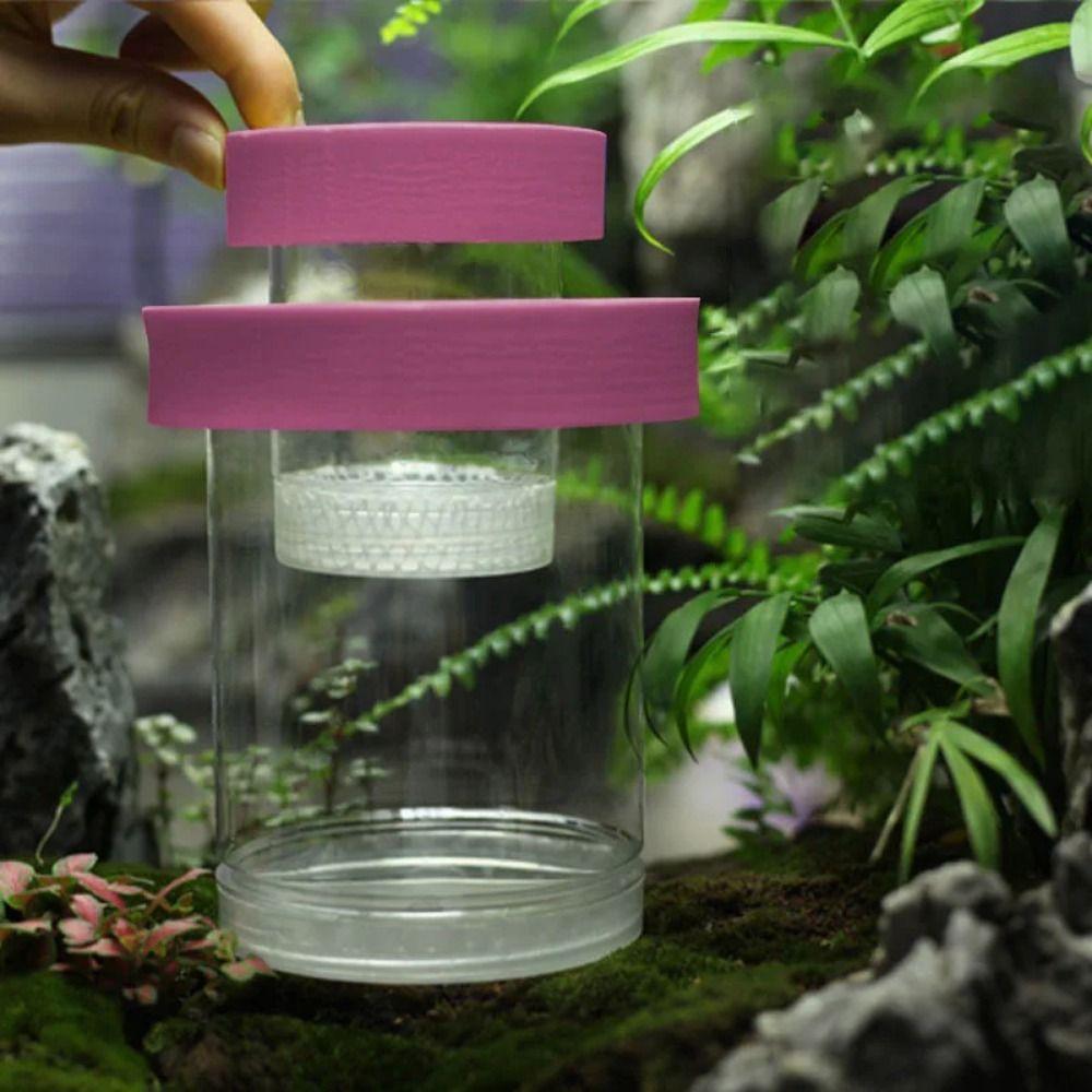 Colorful Floating Hatching Box Detachable Aquarium Breeder Feeder  Home