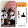 Halloween Pumpkin Ghost Costume Set for Boys with Cloak, Cape & Props