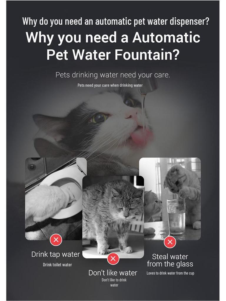 Smart Pet Water Dispenser & Feeder with Automatic Circulation Filter for Cats and Kittens