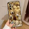 Golden Retriever Dog Case For Samsung Galaxy A15 A16 A17 A26 A36 A56 A55 A35 A52 A32 A12 A53 A33 A13 A14 A34 A54