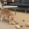 Cat Meow Sisal Peanut Ball Peanut Toy