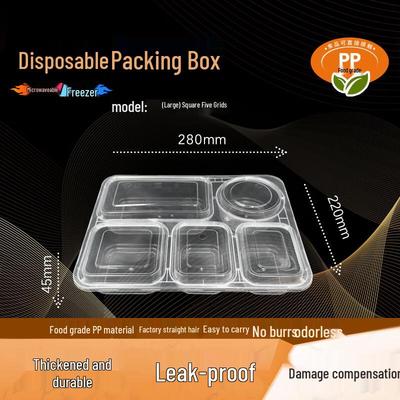 Disposable 5-Compartment Food Containers