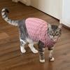 Warmer Gestrickter Sphynx Katze Pullover Winter Haustierkleidung für Katzen mascotas Kleidung Katten Kedi Kätzchen Welpe Pullover ropa para gatos