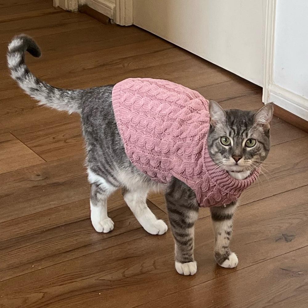 Warmer Gestrickter Sphynx Katze Pullover Winter Haustierkleidung für Katzen mascotas Kleidung Katten Kedi Kätzchen Welpe Pullover ropa para gatos