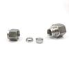 Diannan 316L SS Double Ferrule Internal Thread Connector