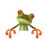Frog Bathroom Toilet Sticker Waterproof Frosted PVC Material Frog Long-lasting Toilet Decorations Decals