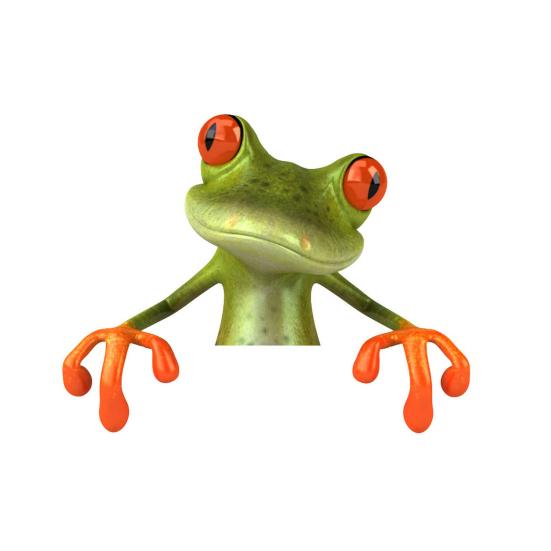 

Наклейка для ванной комнаты и туалета «Лягушка» Водонепроницаемый матовый ПВХ-материал «Лягушка» Долговечные наклейки для украшений для туалета зелёный