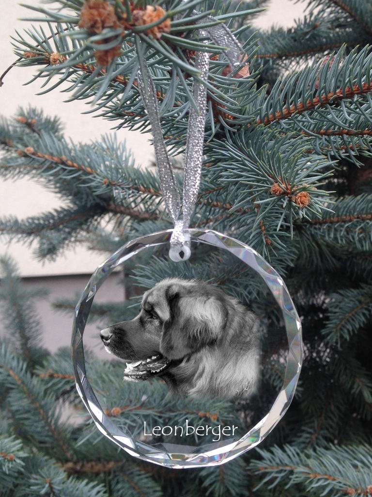 Leonberger - Crystal Bauble with a Photo, Dog Photo In Crystal, Personalized Christmas Tree Ornament by Art-Dog Brand