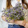 1/3 Bundles Gypsophila Bride Holding Plastic Flowers Wedding Vase Home Decor Accessories Ornamental Flowerpot Artificial Plants