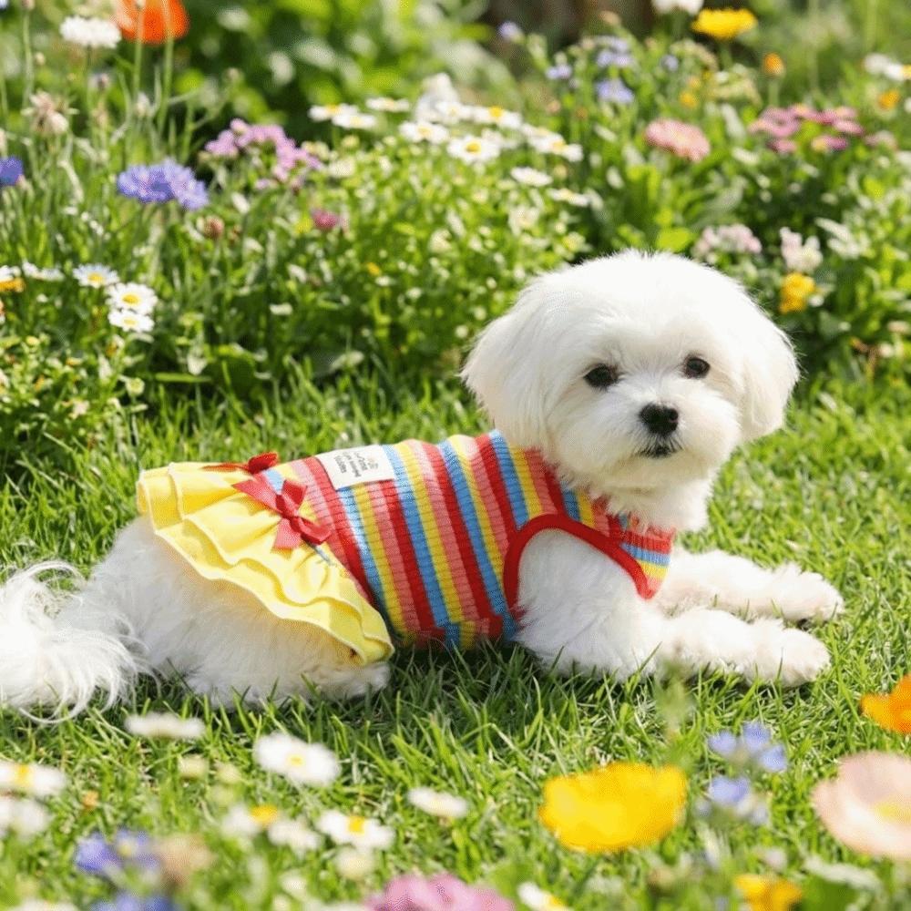 Ruffle Striped Dog Rainbow Striped Skirt Comfortable Dog Cooling Vest Dog Summer Vest Casual Wear