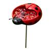 Butterfly Bees Water Feeder Promotes Healthy Ecosystem Garden Maintenance Cleaning Beekeeping Easy Maintenance