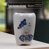 Blue & White Porcelain Flower Pot with Tray for Asparagus Fern, Money Tree, Orchid, Succulents & Bonsai 