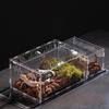 Acryl Transparant Reptiel Terrarium Kweekbox Schildpad Kooi Nano Boomtarantula Verblijf Baardagaam Reptielen Habitat