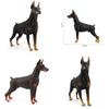 Childrens Pvc Black Doberman Dog Model For Farm Scene And Collectible Display