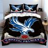 Blue Eagle, Red Football. Bedding Sets Duvet Cover Sets Duvet Covers Pillowcases(1 * Duvet Cover 2 * Pillowcases Without Duvet Insert)