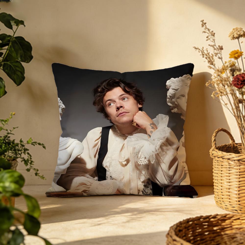 Fashion Hharry Stylesing Cushion Cover Versatile DoubleSided Pillow Case Fit for Sofa Bed Car Daily Decor