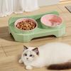 Eco-friendly Dual Cat & Dog Bowl: Leak-proof, Anti-tip Design for Food & Water.