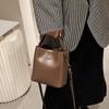 Premium Sense Niche Bag Women's 2025 New 2025 Shoulder Messenger Bag Women's Work Small Bag Bucket Bag Soft
