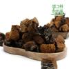 Chaga Funghi Materia Prima Pacco Valore 1kg Russo 1 pz