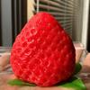 Strawberry Squeeze Toy Soft Stress Ball TPR Slow Rebound Decompression Toy Realistic Pink White Strawberry Shape Portable Fidget Toy