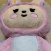 Used MINITEEN Stuffed Toy Jeonghan SEVENTEEN