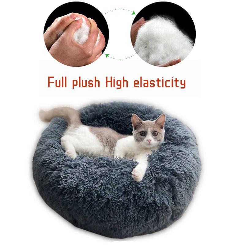 pet planet cat beds