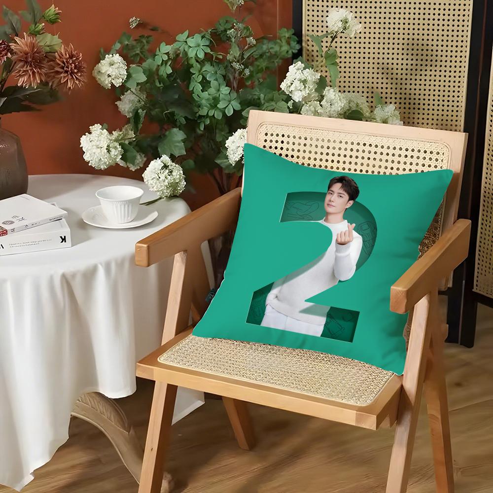 Actor WWang Yibo Cushion Cover Silky Short Plush Invisible Zipper Dustproof Sofa Pillow Case for Home Decor 30x30cm