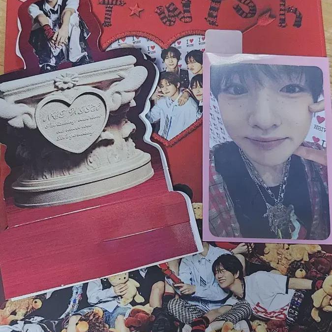 

Nctwish Steady Album Full Set